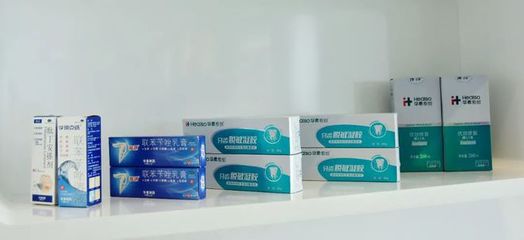 中国口腔清洁护理用品工业协会理事长考察华素健康 口腔卫生用品